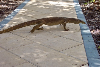 picture of Lizard Island
 Australia