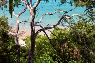 picture of Lizard Island
 Australia