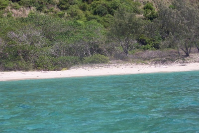 picture of Private Island
 Australia