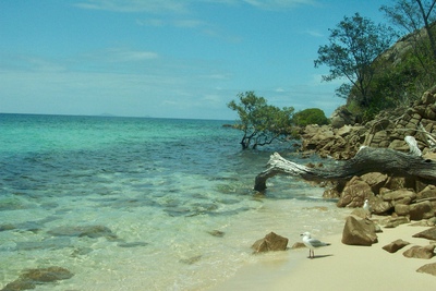 picture of Private Island
 Australia