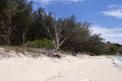 picture of Private Island
 Australia