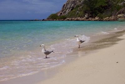 picture of Private Island
 Australia