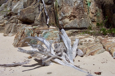 picture of Private Island
 Australia