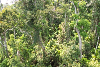 picture of Queensland
 Australia