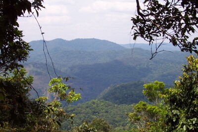 picture of Queensland
 Australia