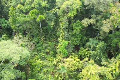 picture of Queensland
 Australia