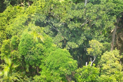 picture of Queensland
 Australia