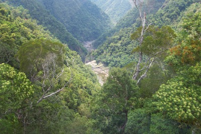 picture of Queensland
 Australia