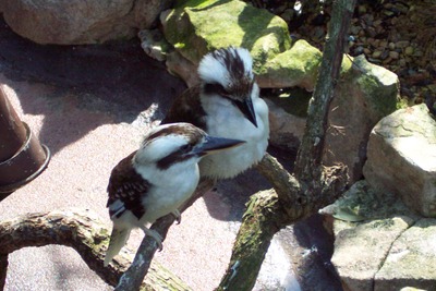 picture of Queensland
 Australia