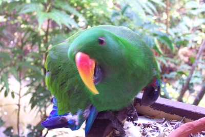 picture of Queensland
 Australia