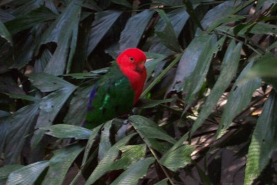 picture of Queensland
 Australia