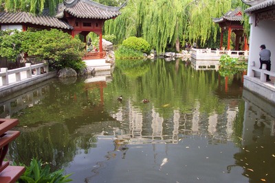 picture of Sydney
 Australia