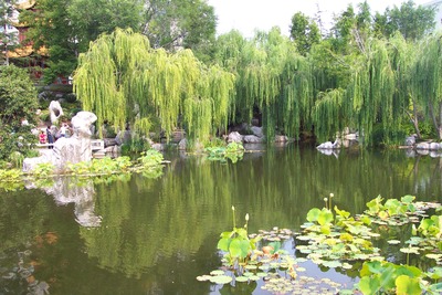 picture of Sydney
 Australia