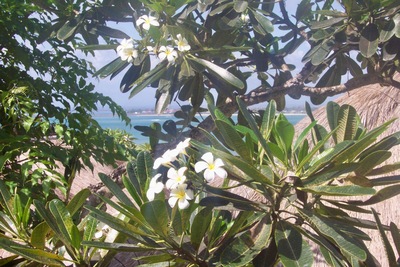 picture of The Four Seasons Resort in Jimbaran Bay
 Bali