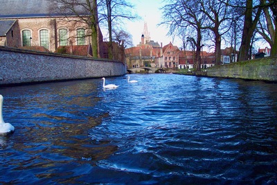 picture of Bruges
 Belgium