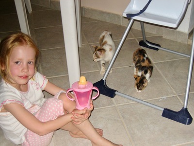 picture of Corfu 2008
 Corfu