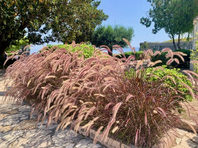 picture of Corfu Town 2023
 Corfu