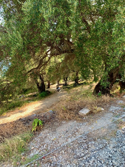 picture of Nissaki Sea View Hotel and Villa 2023
 Corfu