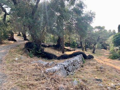 picture of Nissaki Sea View Hotel and Villa 2023
 Corfu