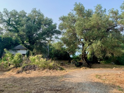 picture of Nissaki Sea View Hotel and Villa 2023
 Corfu