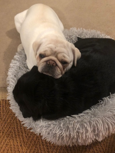 picture of Just tired
 DoubleTrouble