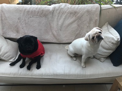 picture of We want something...
 DoubleTrouble