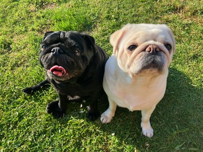 picture of We want something...
 DoubleTrouble