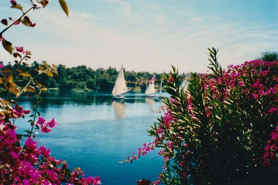 picture of Aswan
 Egypt