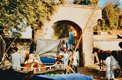 picture of Esna
 Egypt