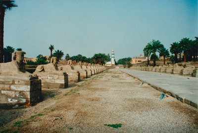 picture of Luxor
 Egypt