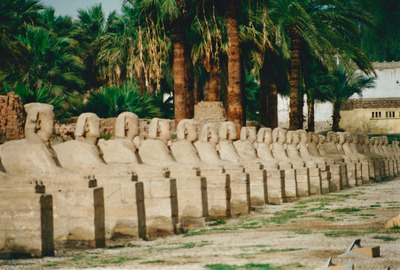 picture of Luxor
 Egypt