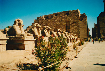 picture of Luxor
 Egypt