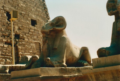 picture of Luxor
 Egypt