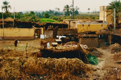 picture of The Nile
 Egypt