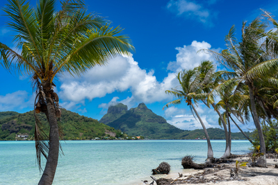 picture of Bora Bora Day 1
 FPoly2025