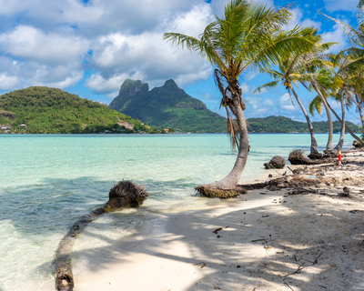 picture of Bora Bora Day 1
 FPoly2025