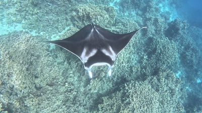 picture of Bora Bora Day 1
 FPoly2025