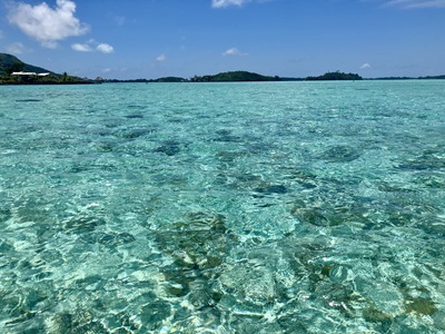 picture of Bora Bora Day 1
 FPoly2025