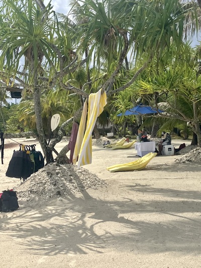 picture of Bora Bora Day 2
 FPoly2025