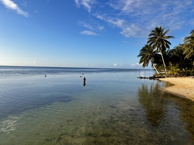picture of Cooks Bay Hotel
 FPoly2025
