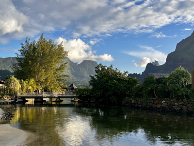 picture of Cooks Bay Hotel
 FPoly2025