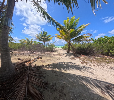 picture of Fakarava
 FPoly2025