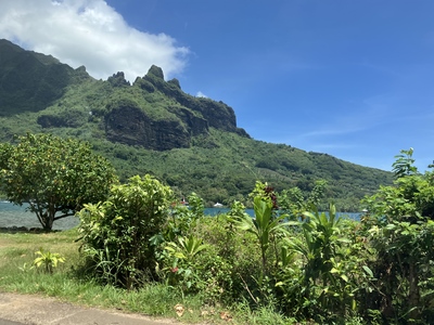picture of Moorea
 FPoly2025