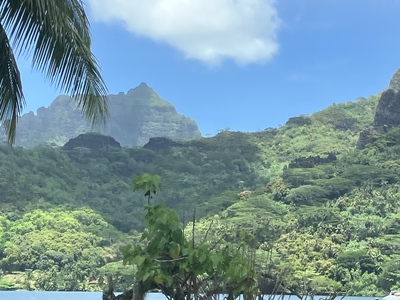 picture of Moorea
 FPoly2025