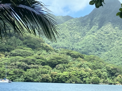 picture of Moorea
 FPoly2025