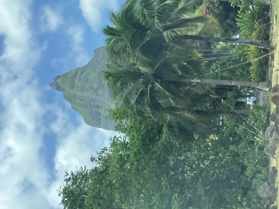 picture of Moorea
 FPoly2025