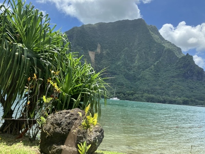 picture of Moorea
 FPoly2025