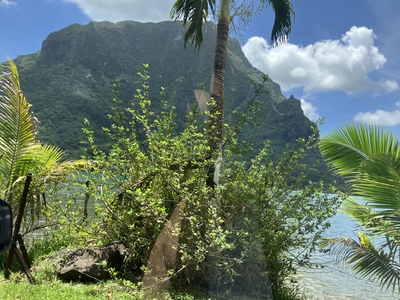 picture of Moorea
 FPoly2025