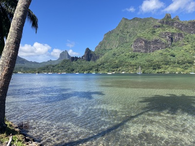 picture of Moorea 4x4 Tour
 FPoly2025