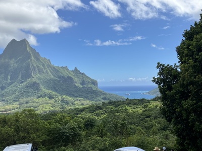 picture of Moorea 4x4 Tour
 FPoly2025